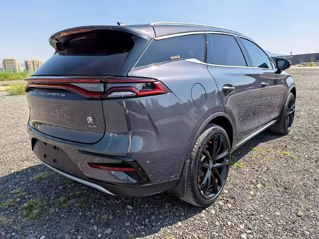 BYD Tang New Energy — миниатюра 6