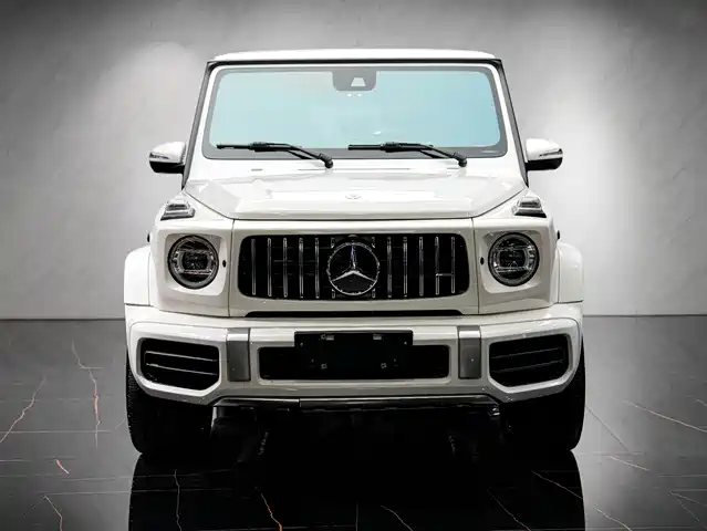MERCEDES-BENZ G CLASS AMG