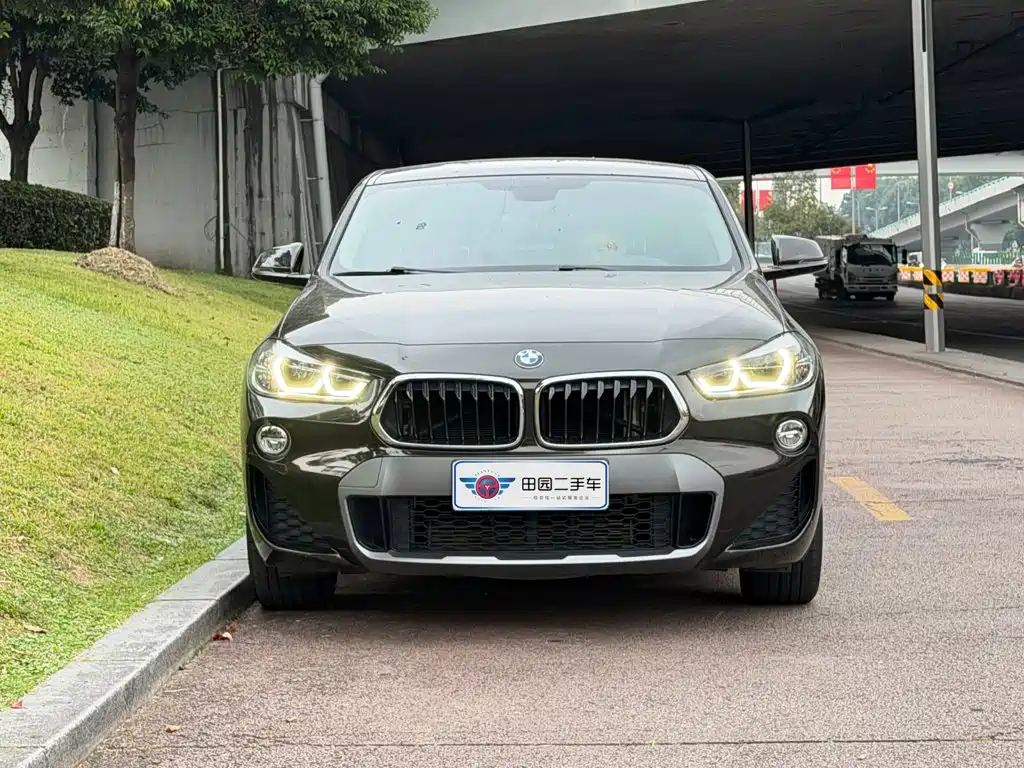 BMW X2 (Import) — миниатюра 2