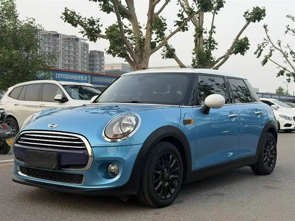 Mini Mini 2018