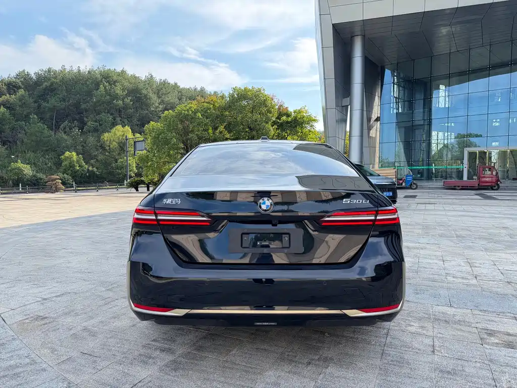 BMW 5 Series — миниатюра 5