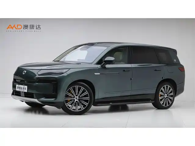 2025 Denza N9