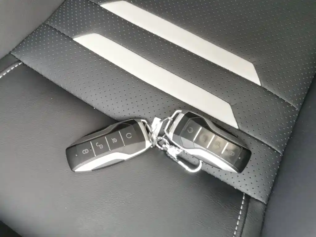 BYD Qin Pro NEV — миниатюра 9
