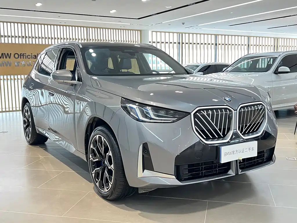BMW X3 — миниатюра 2