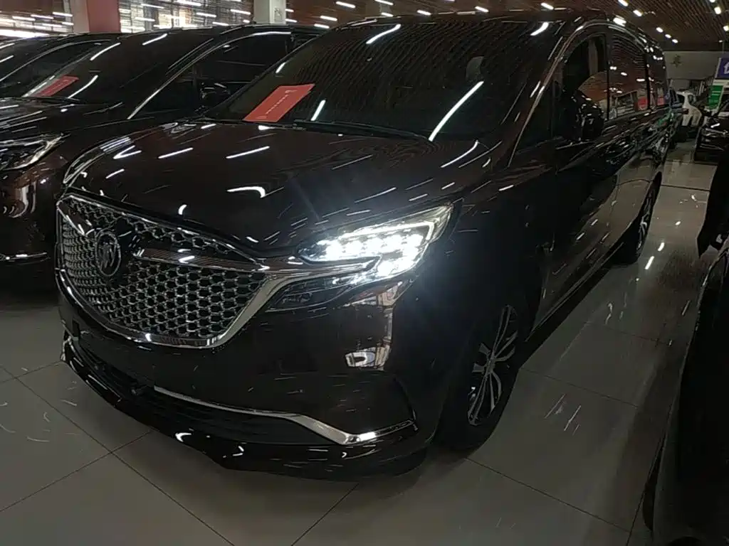 Buick GL8 — миниатюра 2