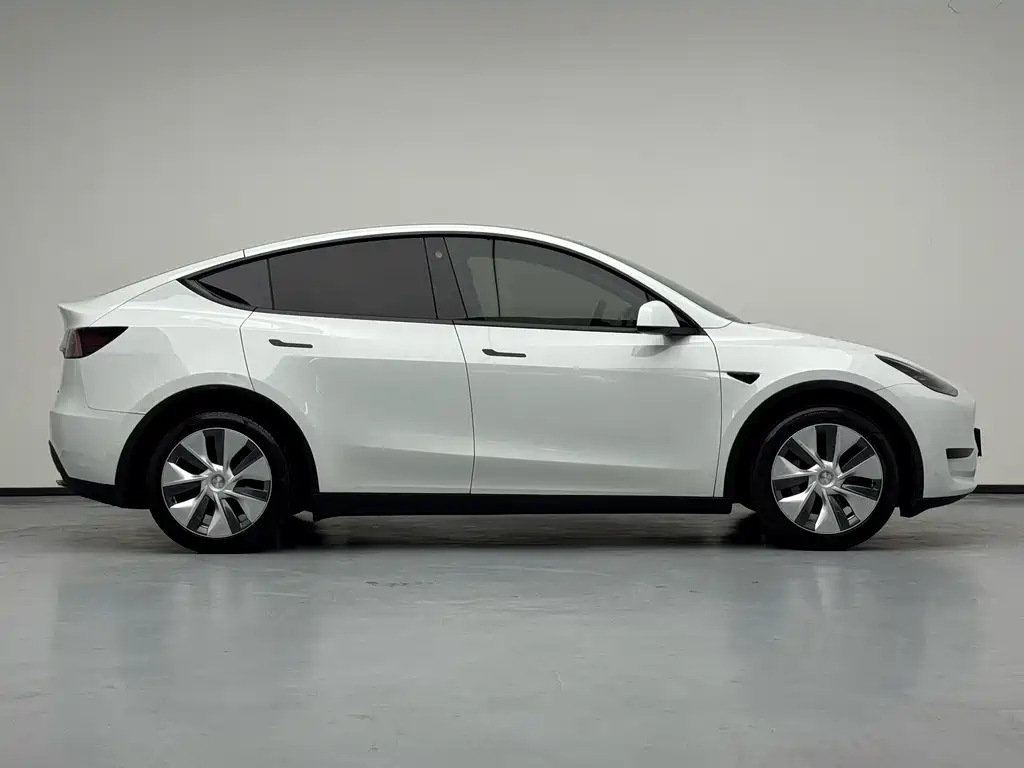 Tesla Model Y — миниатюра 19