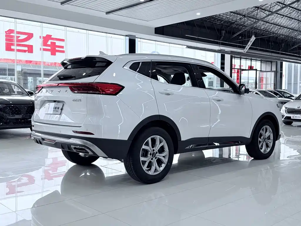 Haval H6 — миниатюра 11