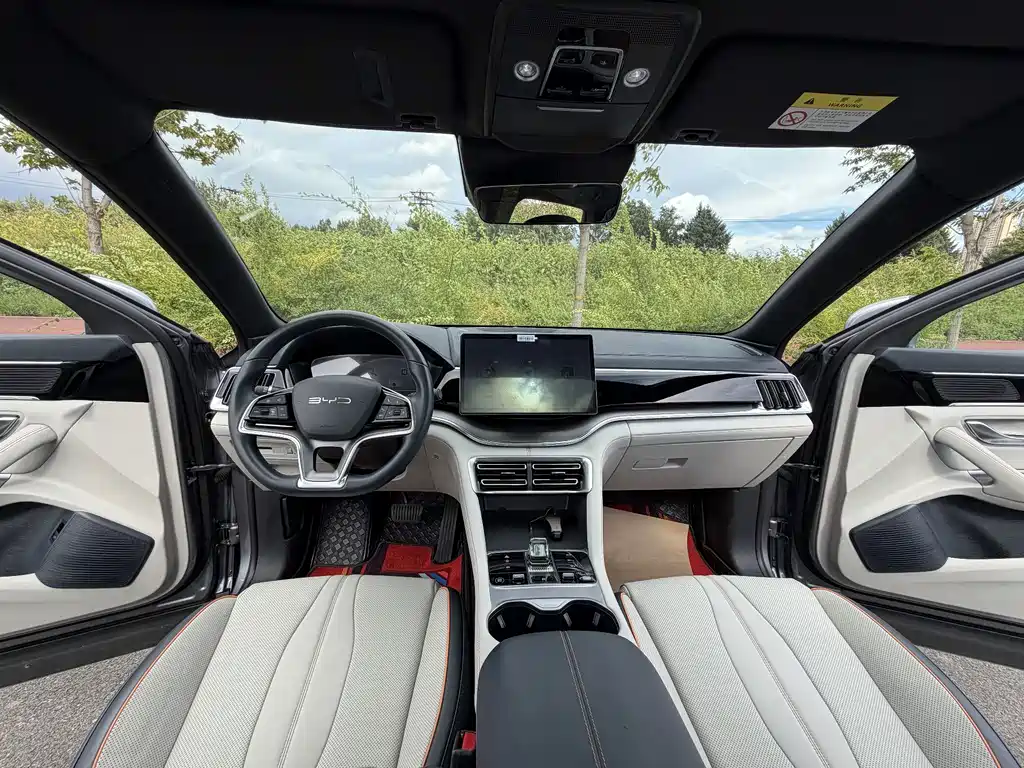 BYD PLUS — миниатюра 15