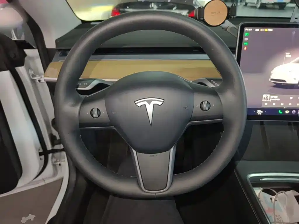 Tesla Model Y — миниатюра 11