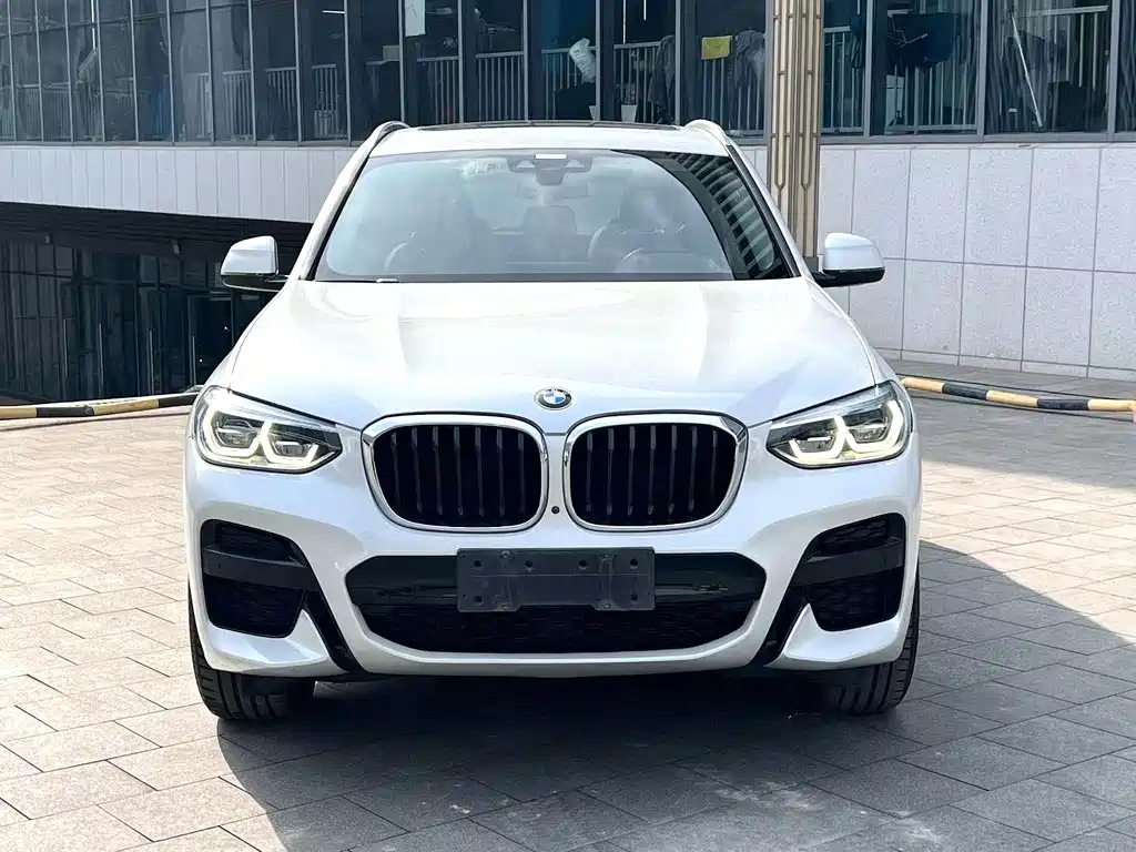BMW X3 — миниатюра 2