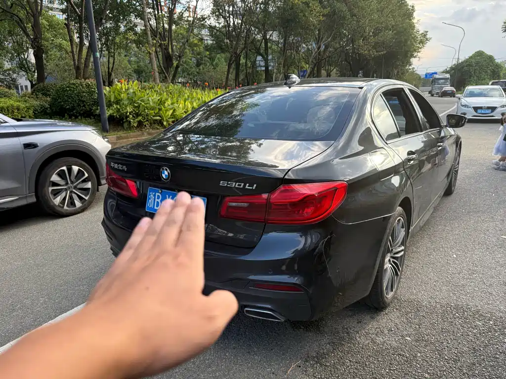BMW 5 Series — миниатюра 5