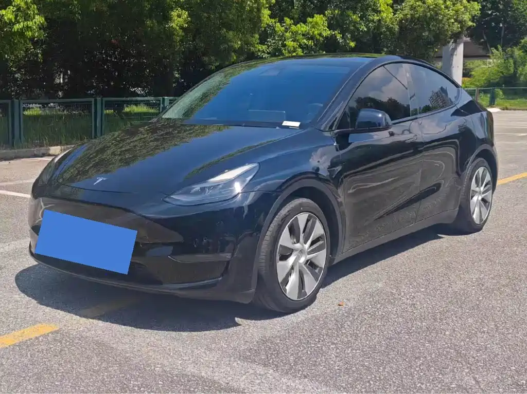 Tesla Model Y — миниатюра 2