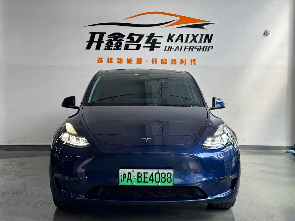 Tesla Model Y — миниатюра 2