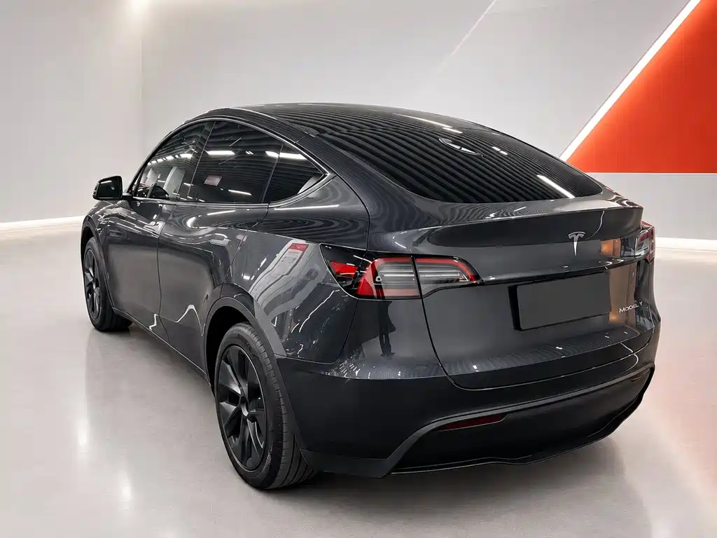 Tesla Model Y — миниатюра 4