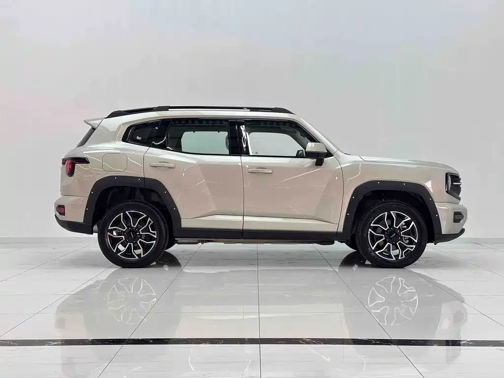 Haval Big Dog PLUS New Energy — миниатюра 6