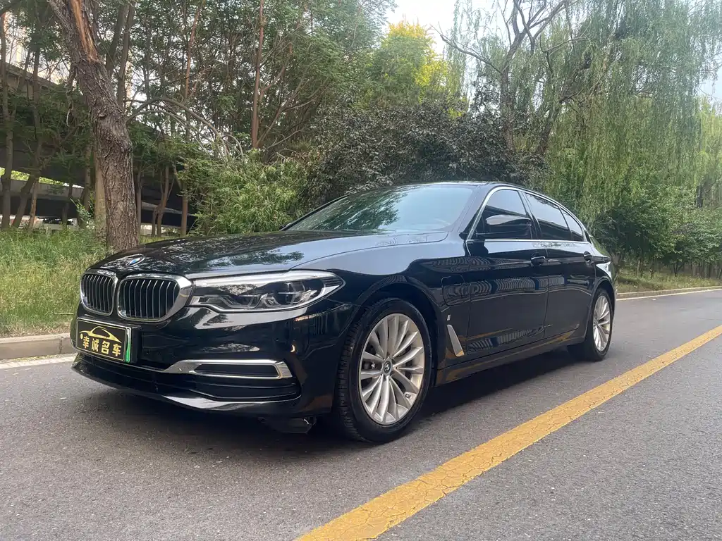 BMW 5 Series New Energy 2019