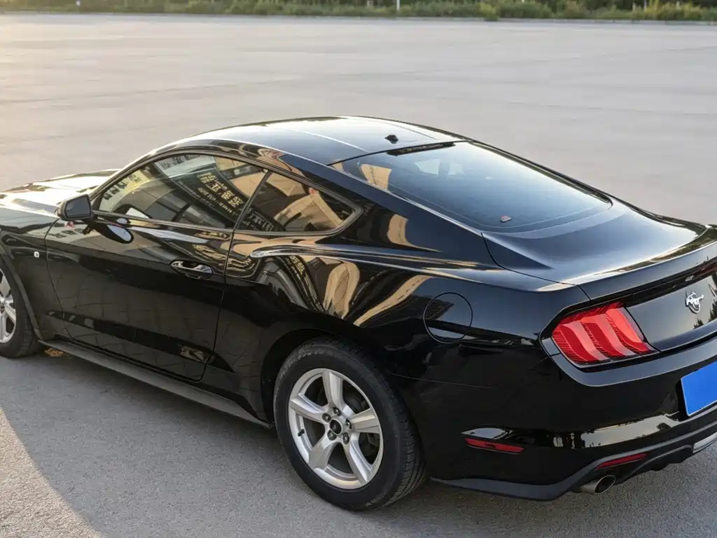 Ford Mustang — миниатюра 5