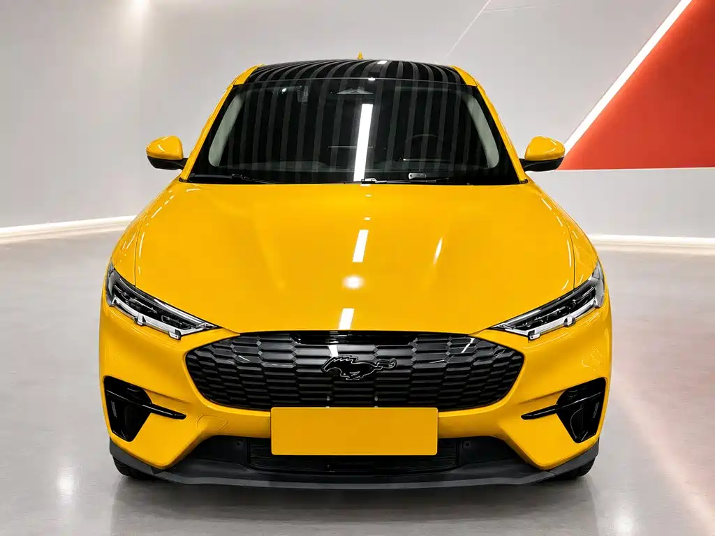 Ford Mustang Mach-E — миниатюра 2