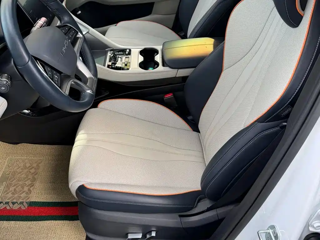 BYD PLUS New Energy — миниатюра 11