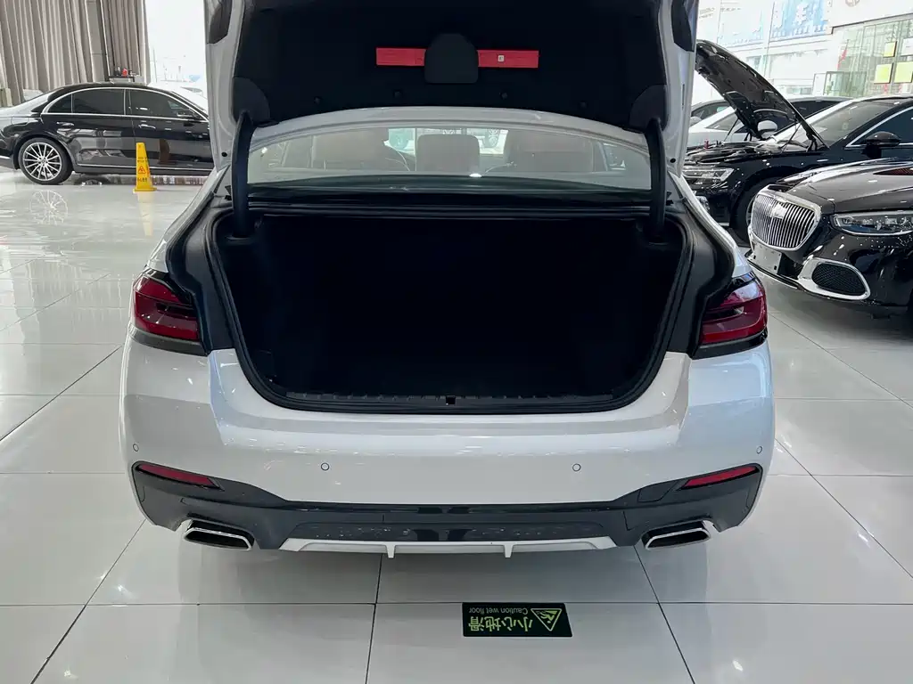 BMW 5 Series — миниатюра 21
