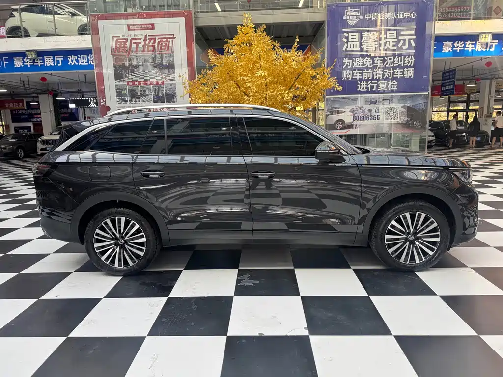 Volkswagen Tavendor — миниатюра 8