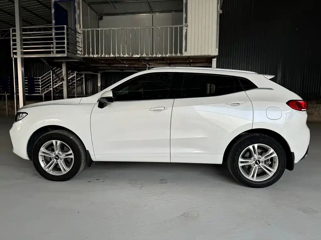 Wey VV5 1.5T 2WD Beauty Pioneer, фото 13