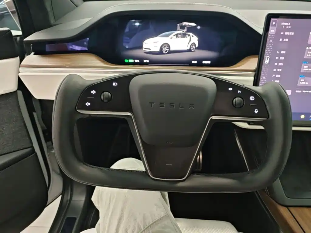 Tesla Model X — миниатюра 11