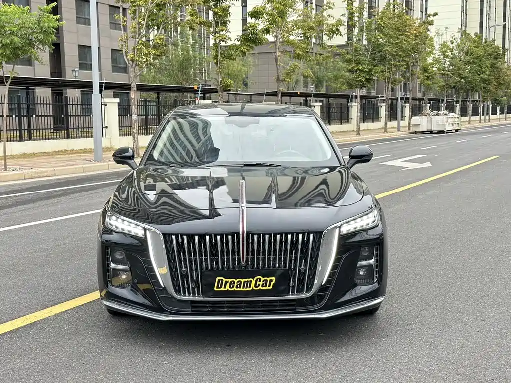 Hongqi Hongqi H5 — миниатюра 2