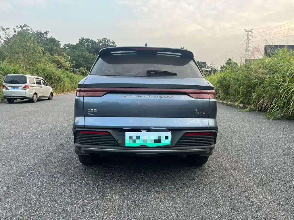 BYD Pro New Energy — миниатюра 4