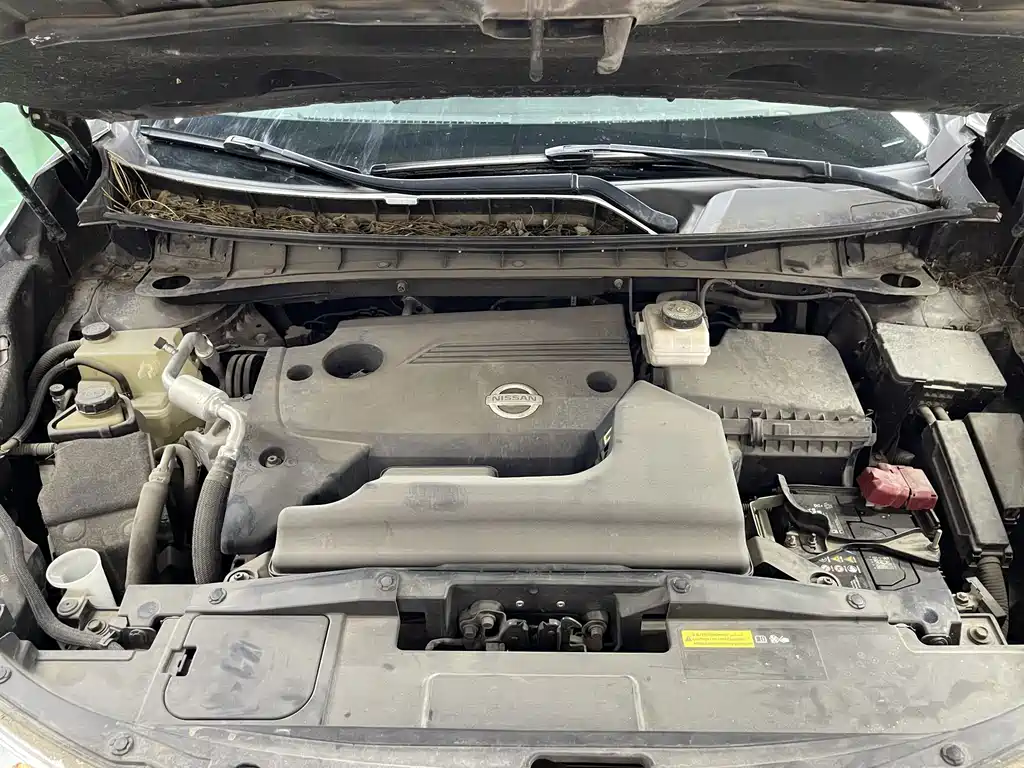 Nissan Murano — миниатюра 30