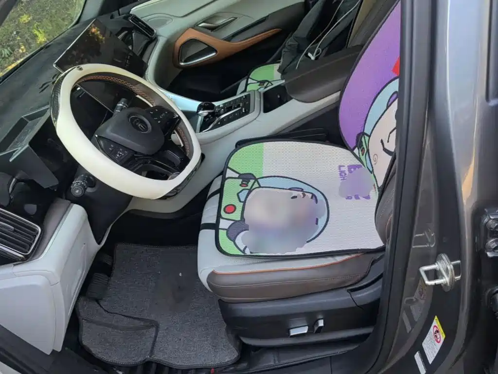 BYD Pro New Energy — миниатюра 15