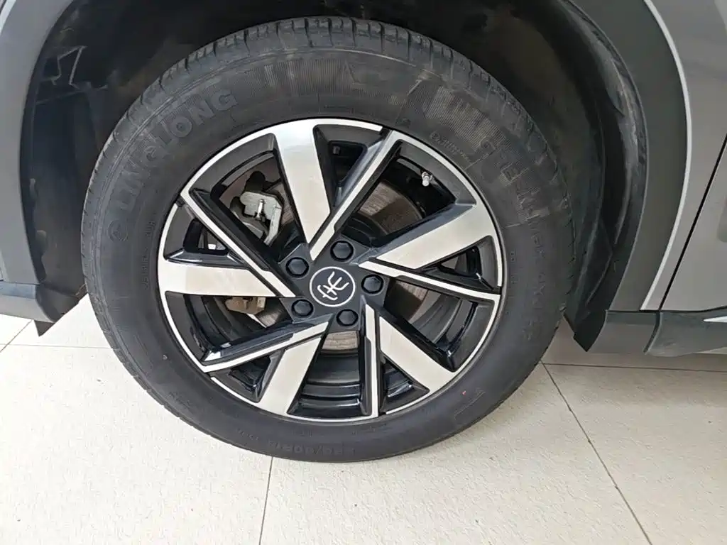 BYD Pro New Energy — миниатюра 23