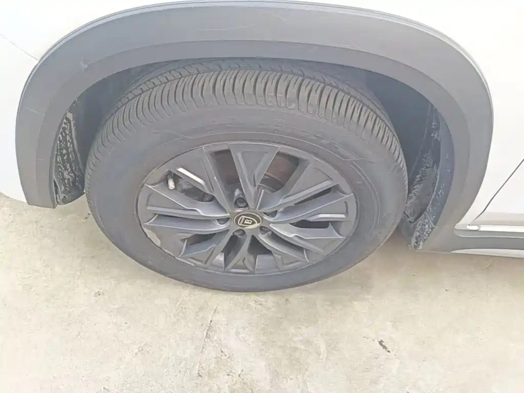 BYD New Energy — миниатюра 23