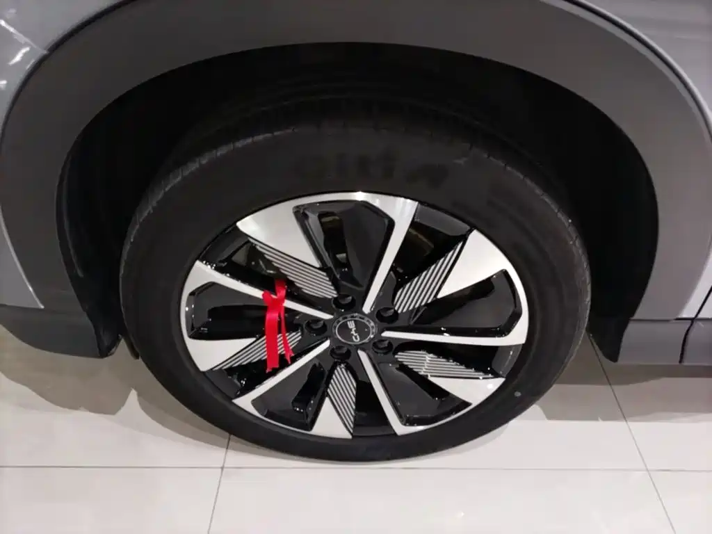 BYD PLUS New Energy — миниатюра 23
