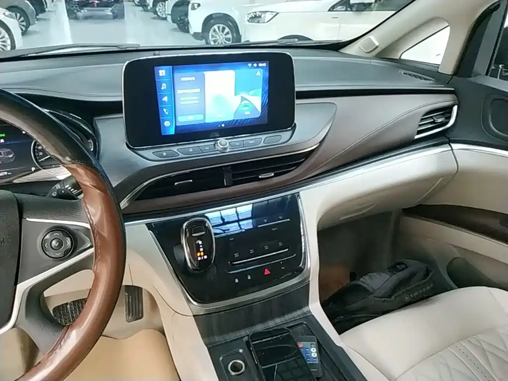 Buick GL8 — миниатюра 13