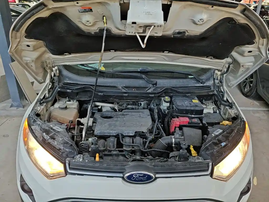 Ford Ecosport — миниатюра 20