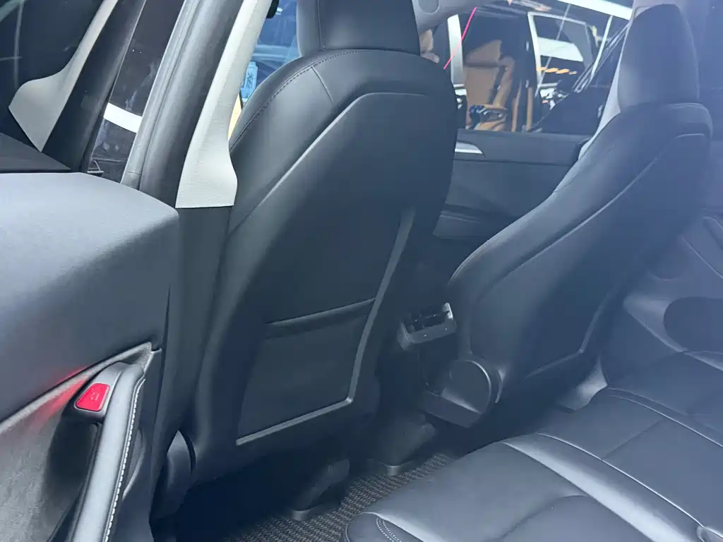 Tesla Model Y — миниатюра 6