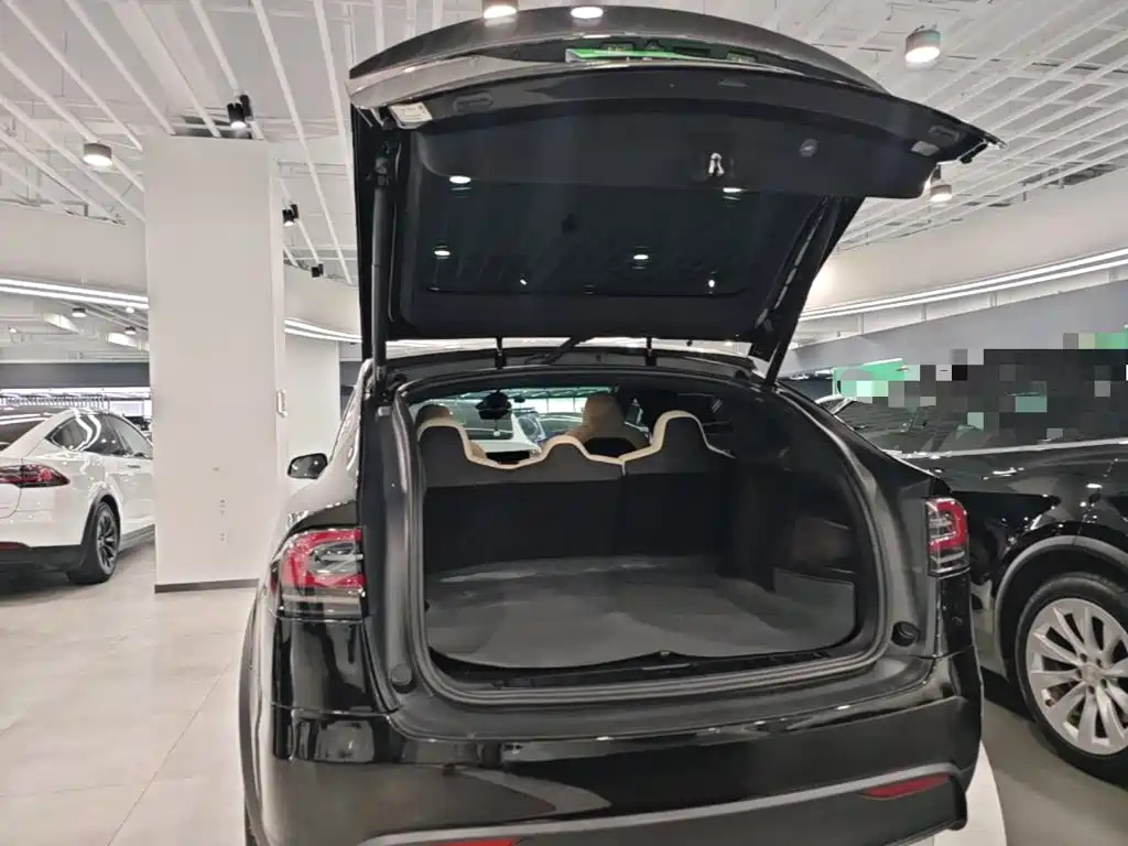 Tesla Model X — миниатюра 19