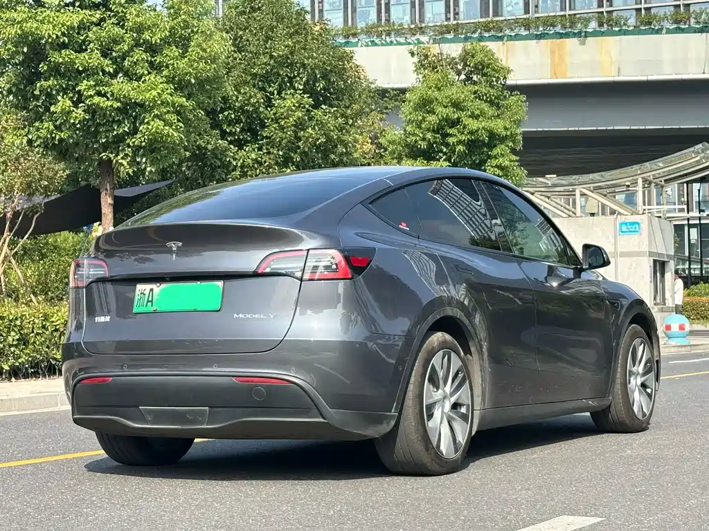 Tesla Model Y — миниатюра 6
