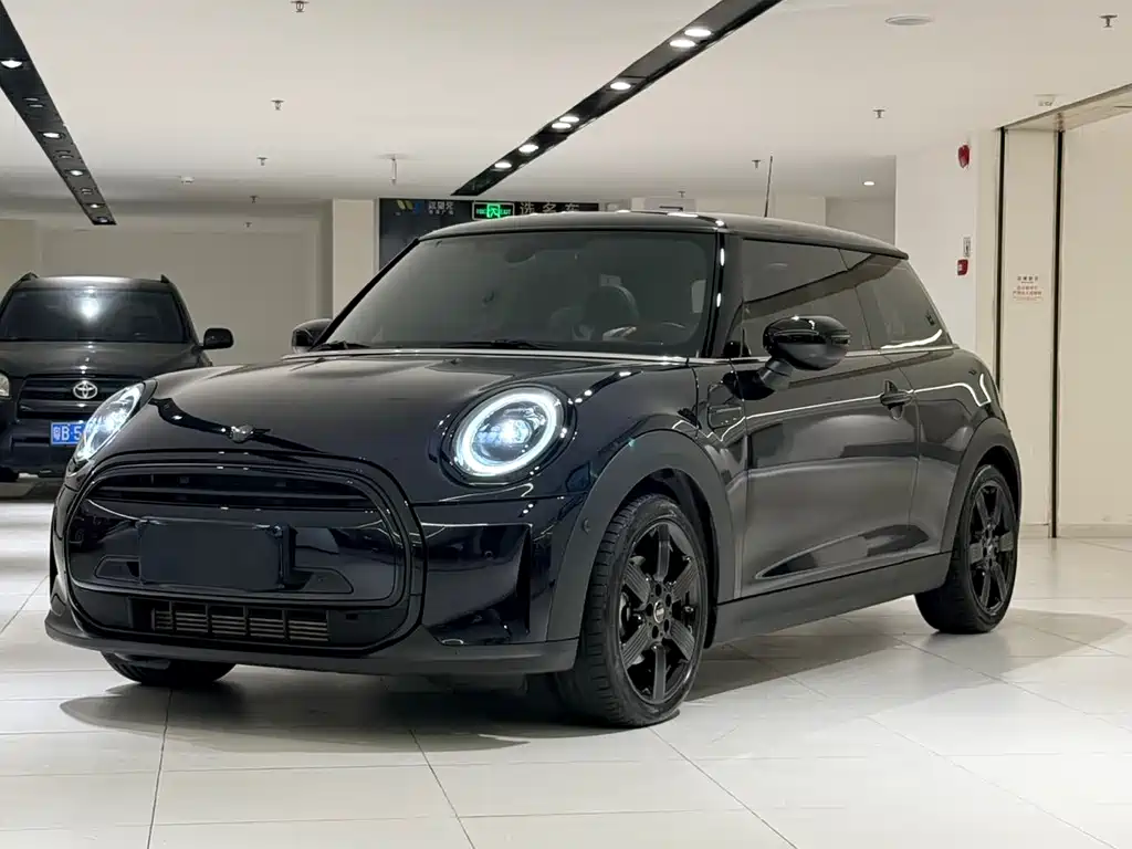 Mini Mini 2024