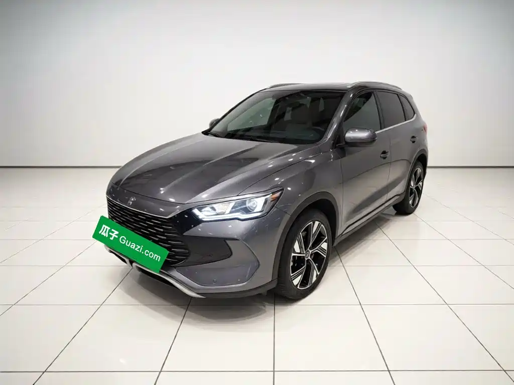 BYD Pro New Energy — миниатюра 2