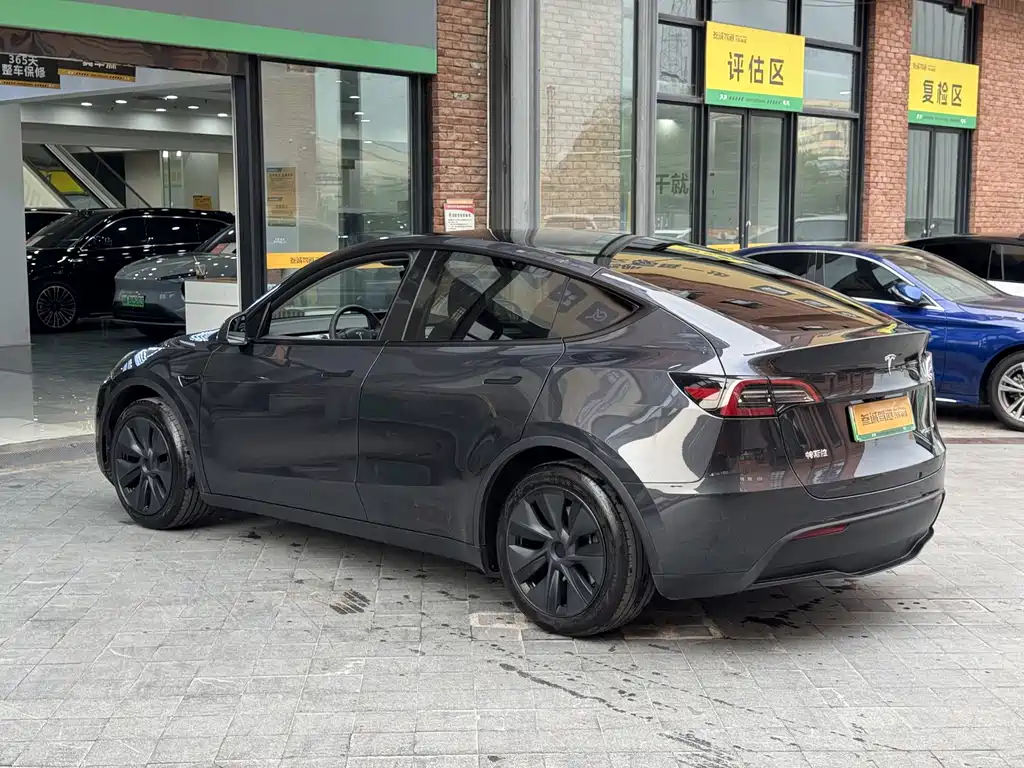 Tesla Model Y — миниатюра 6