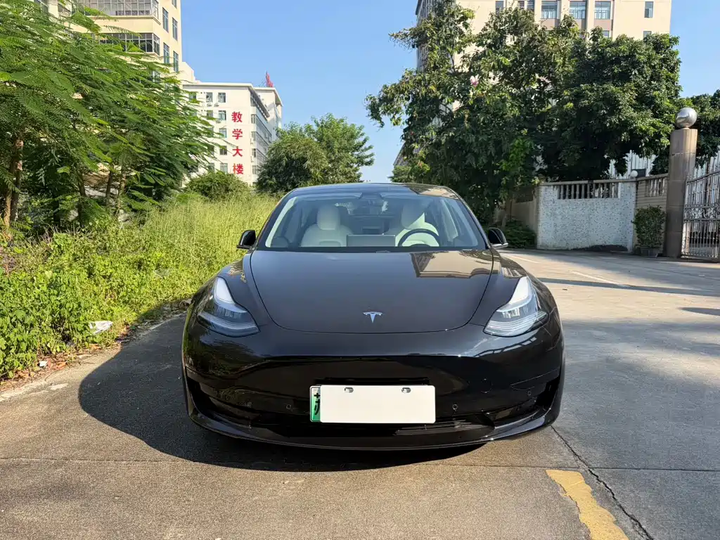 Tesla Model 3 — миниатюра 2