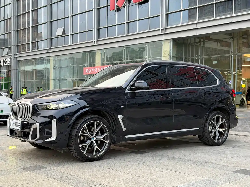 BMW X5 — миниатюра 2