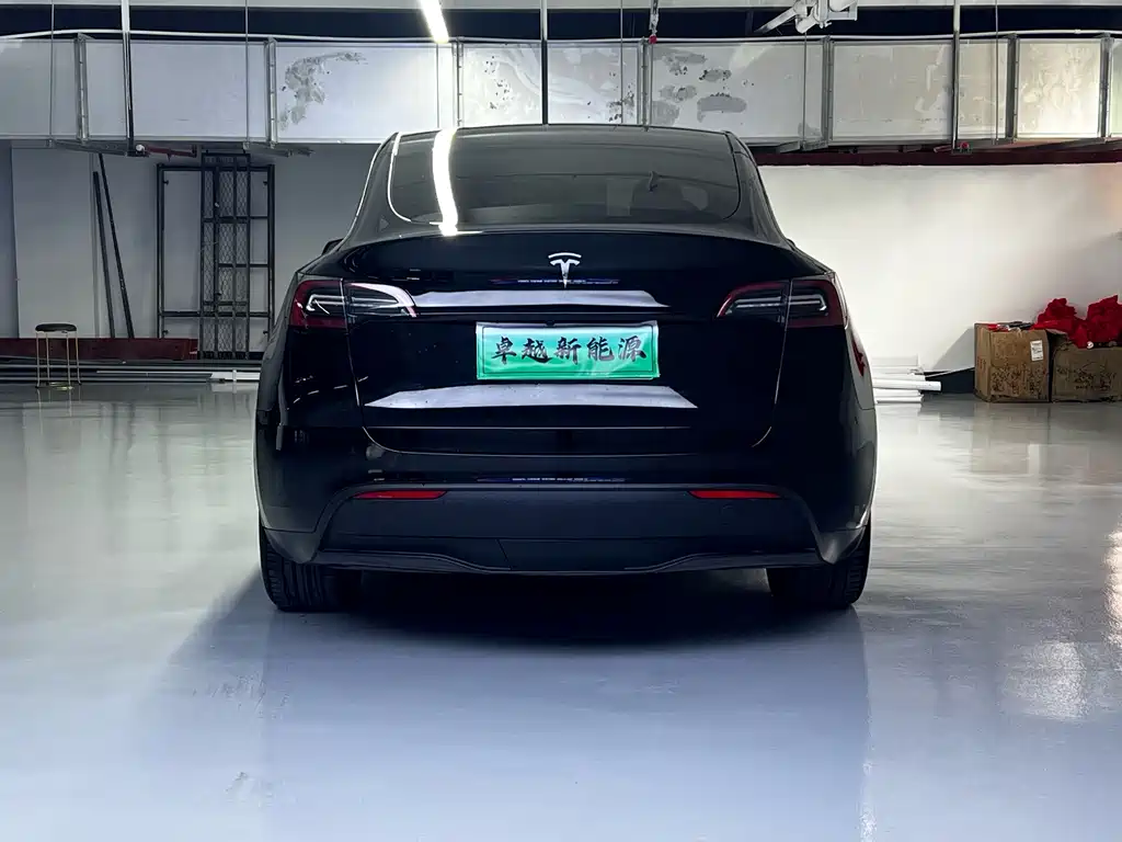 Tesla Model Y — миниатюра 12