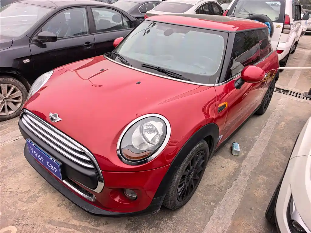 Mini Mini 2017
