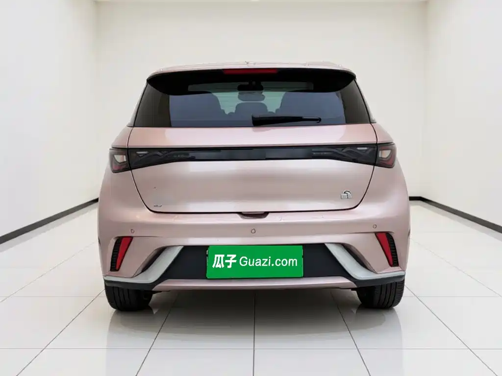 BYD Dolphin — миниатюра 3