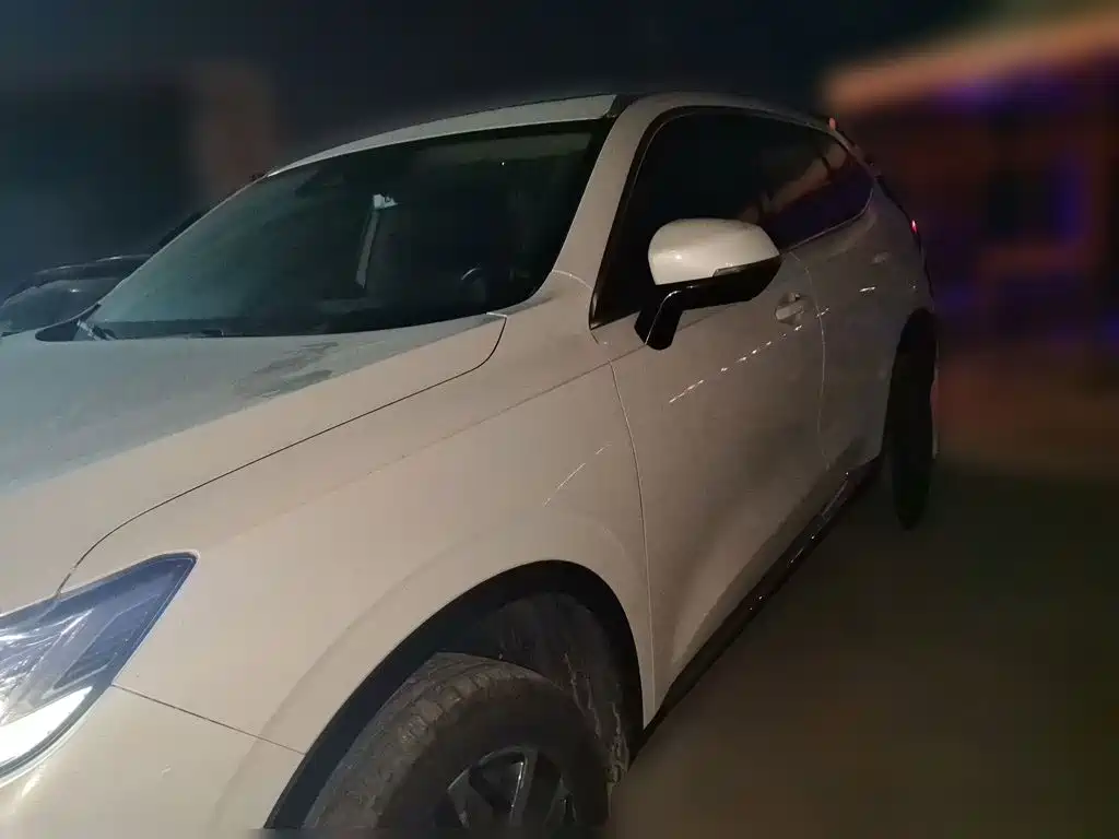 Haval H6 — миниатюра 2
