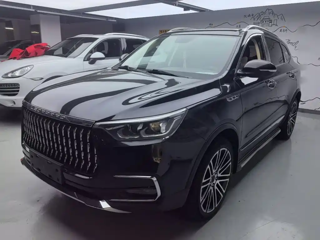 Leopaard Mattu — миниатюра 2