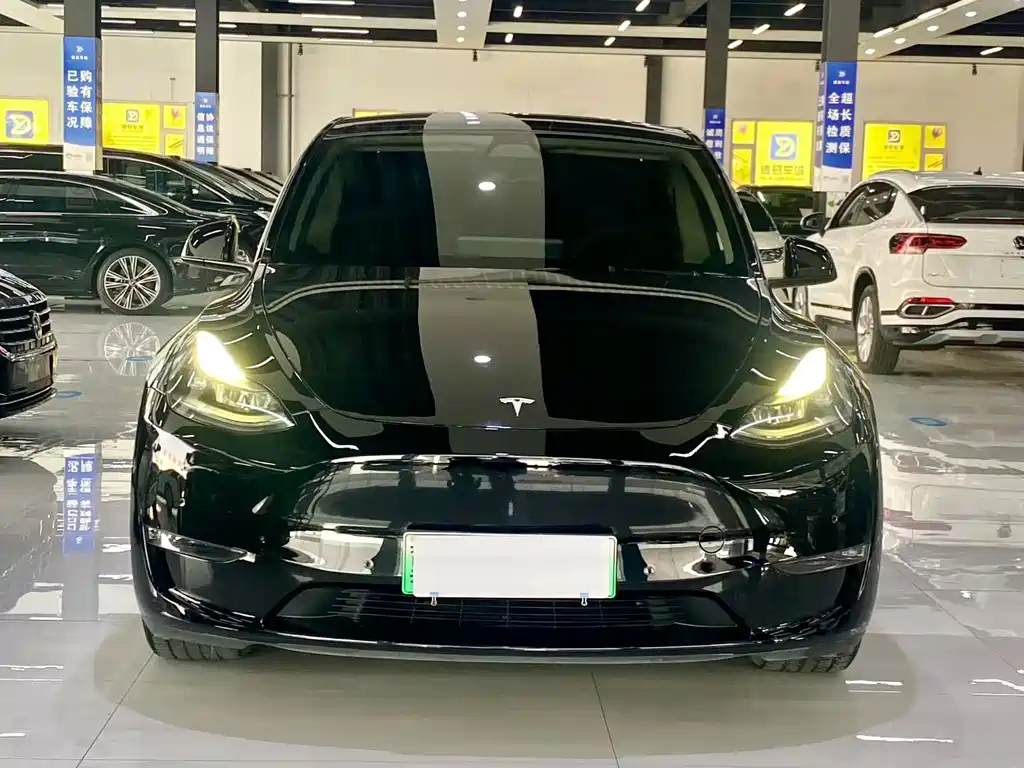 Tesla Model Y — миниатюра 2